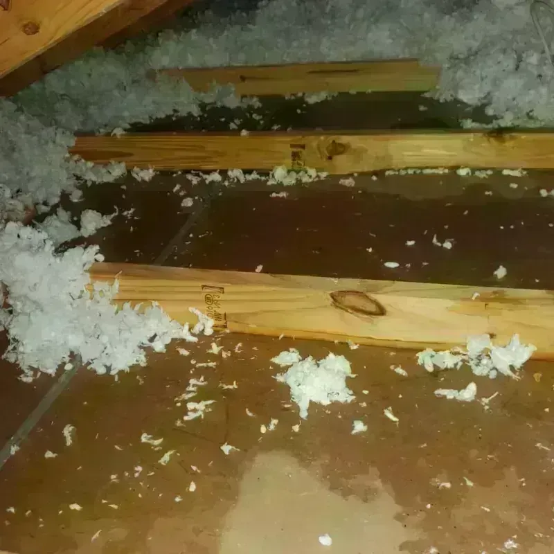 Attic Water Damage in Kemah, TX