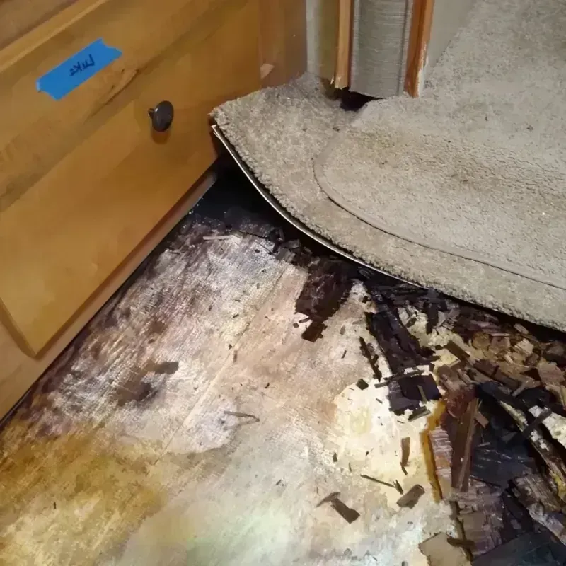 Wood Floor Water Damage in Kemah, TX